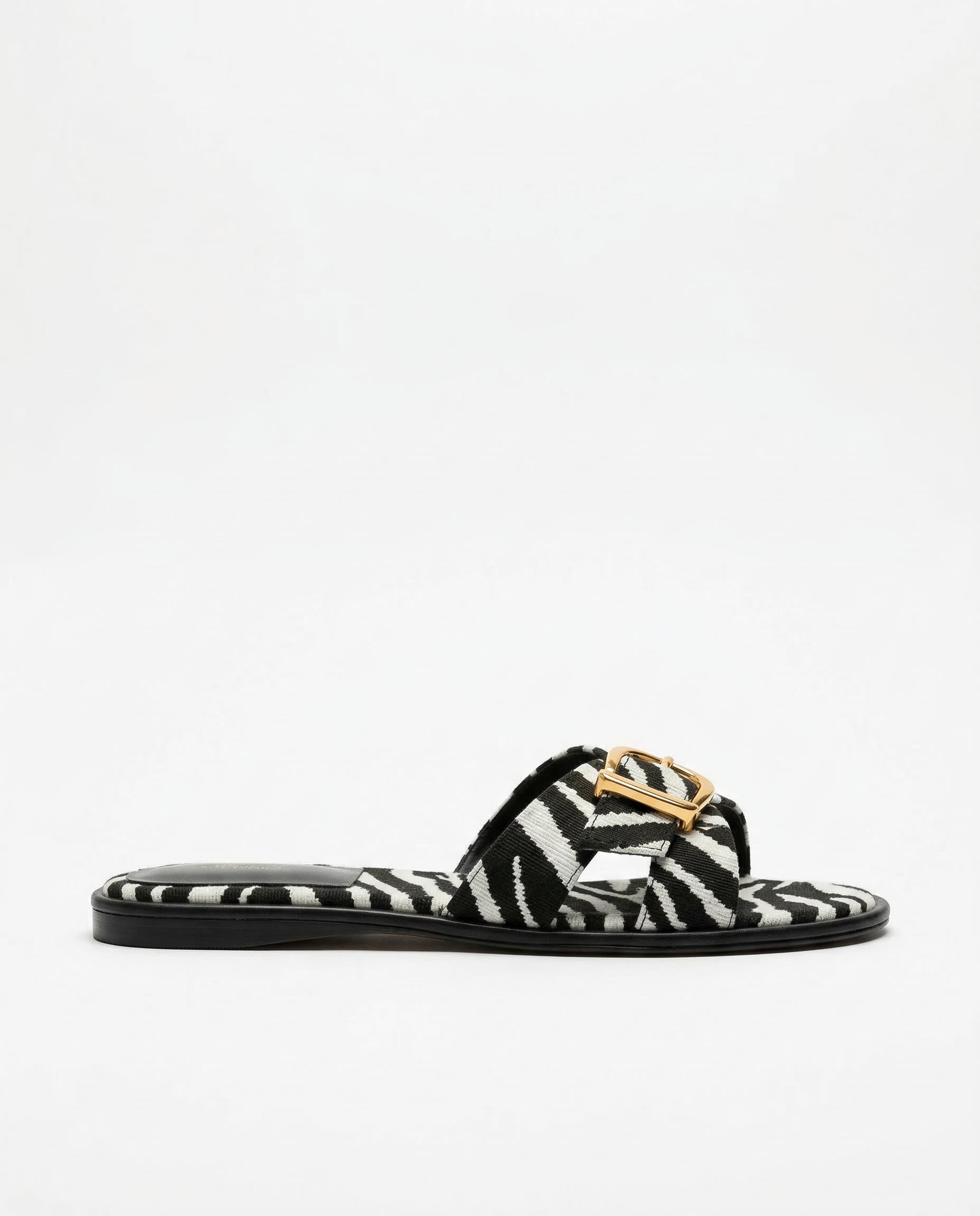 Zebra / 10